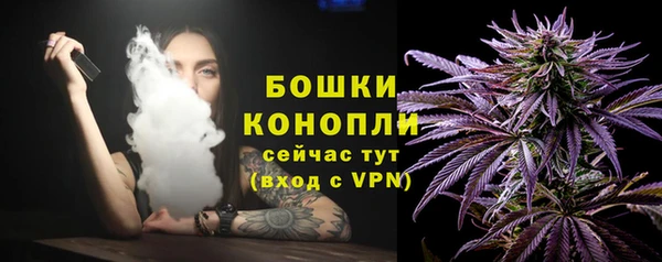 бошки Сосновый Бор