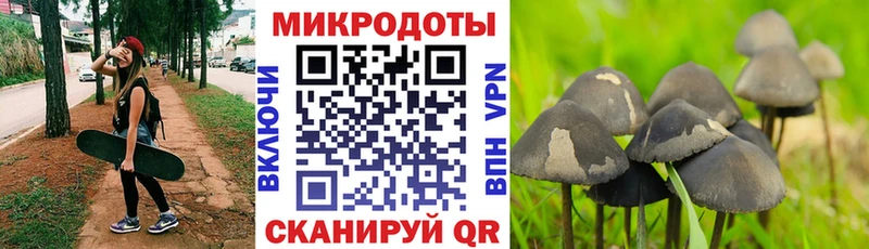 Галлюциногенные грибы Magic Shrooms  Купить закладки  Камызяк 